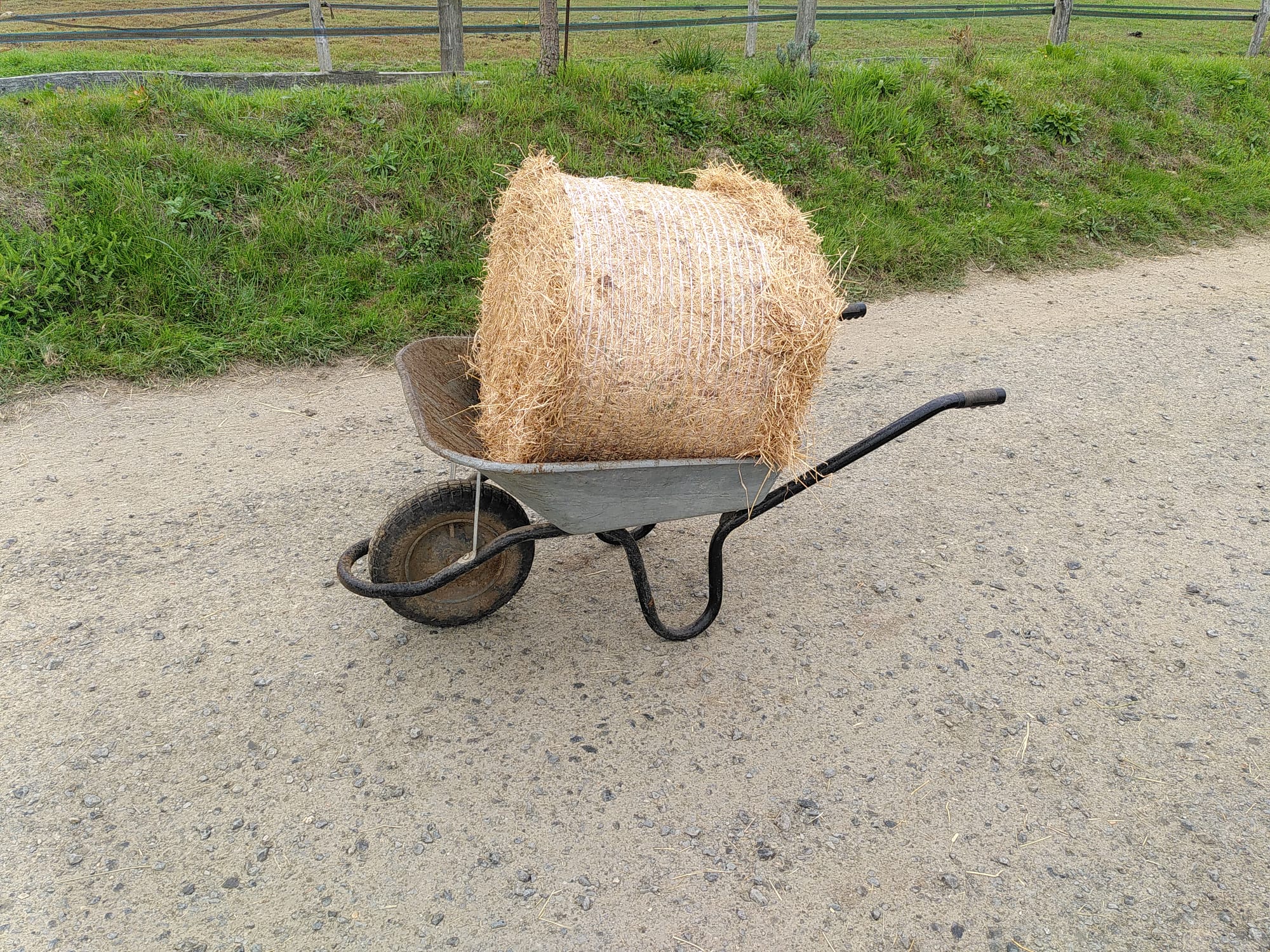 Petites balles rondes